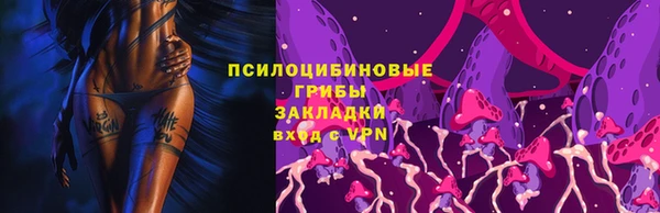 амф Алексин