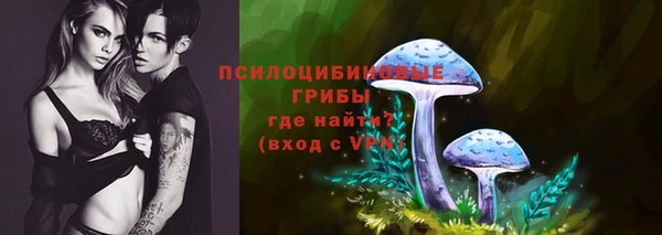 амф Алексин