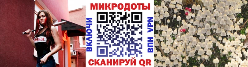 Псилоцибиновые грибы MAGIC MUSHROOMS  магазин продажи наркотиков  mega ссылки  Конаково 